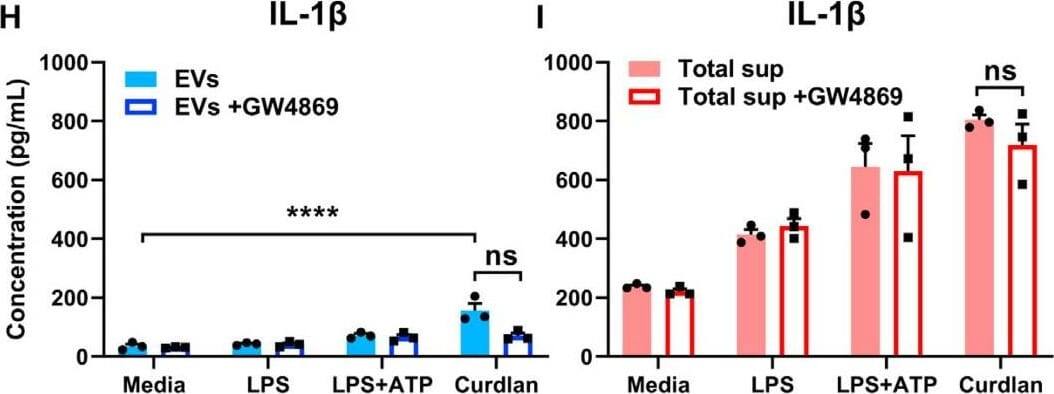 Recombinant Mouse IL‑1 beta /IL‑1F2 (Catalog # <a class=