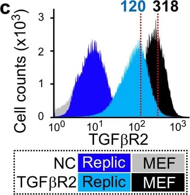 Myofibroblastic property of Replic cells. (a) mRNA expression levels of genes related to myofibroblasts in Replic cells cultured with MSCM. In addition to MEFs cultured with DMEM, injured and contralateral kidneys (n = 3 for each) of UUO-treated normal mice were compared to Replic cells with respect to mRNA expression. Twelve biologically independent samples for each cell line were analysed. (b) mRNA expression levels of genes for TGF beta  superfamily receptors in Replic cells cultured with MSCM were compared to those in mouse kidneys (n = 3 for ISAM-REC kidneys and WT kidneys) and MEFs. Six biologically independent samples for each cell line were analysed. (c) Flow cytometry of TGF beta R2 expression on the cell surface of Replic cells and MEFs cultured with DMEM. Negative controls (NC) were stained only with APC-conjugated streptavidin. The mean fluorescent intensities are shown (red dotted lines). (d) mRNA expression levels of genes related to myofibroblasts in Replic cells cultured with DMEM or MSCM. Six biologically independent samples for each cell line were analysed. The average expression levels of injured kidneys (a), ISAM-REC kidneys (b), or Replic cells cultured with DMEM (d) were set at 1.0. Error bars are indicated standard errors, and arrows indicate undetectable levels (a,b). *p < 0.05 and **p < 0.01 by multiple comparisons using one-way ANOVA with Tukey-Kramer tests (a,b) or by two-tailed, unpaired Student’s t-tests (d). Image collected and cropped by CiteAb from the following publication (//pubmed.ncbi.nlm.nih.gov/31375751), licensed under a CC-BY license. Not internally tested by R&D Systems.