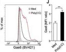 Inflammatory stimuli associated with viral infections upregulate Axl and promote Gas6 binding to macrophages. (A–E) MDMs were stimulated for 24 h with dexamethasone (Dex), LPS, IFN‐ gamma , poly(I:C) or IFN‐ alpha . (A) MerTK and (C) Axl protein expression determined by ELISA of total cell lysates (mean+SEM, n = 4). (B) MerTK and (D) Axl protein expression analyzed by western blotting; actin was used as loading control. A representative of two to three independent experiments is shown. (E) Flow cytometric analysis of Axl expression on MDMs stimulated with poly(I:C) or IFN‐ alpha  for 24 h. Representative histograms of two independent experiments are shown; dotted line/shaded: FMO control. (F) Axl and MerTK relative mRNA and (G) protein expression in MDMs differentiated by 6‐day culture in M‐CSF or GM‐CSF determined by qPCR (mean+SEM, n = 6) and by ELISA of total cell lysates (mean+SEM, n = 3), respectively. (H) Axl, MerTK and Tyro3 relative mRNA expression in MDMs stimulated as in (A–C) analyzed by qPCR (mean+SEM, n = 2–3). (I and J) Flow cytometric analysis of Gas6 binding to MDMs stimulated with poly(I:C) for 24 h. (I) Representative of four independent experiments is shown; dotted line/shaded: isotype control. (J) Ratio of Gas6 to isotype control geometric mean fluorescence intensity (MFI)+SEM in unstimulated and poly(I:C)‐stimulated MDMs (n = 4). *p < 0.01, paired t‐test. ELISA and qPCR samples were assayed in duplicate. Image collected and cropped by CiteAb from the following publication (//pubmed.ncbi.nlm.nih.gov/29400409), licensed under a CC-BY license. Not internally tested by R&D Systems.