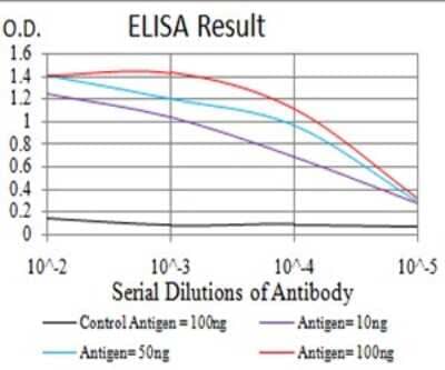 ELISA: beta-2 Adrenergic R/ADRB2 Antibody (4A6C9) [NBP2-61711] - Black line: Control Antigen (100 ng);Purple line: Antigen (10ng); Blue line: Antigen (50 ng); Red line:Antigen (100 ng)