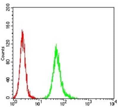 Flow Cytometry: beta-2 Adrenergic R/ADRB2 Antibody (4A6C9) [NBP2-61711] - Analysis of Hela cells using ADRB2 mouse mAb (green) and negative control (red).