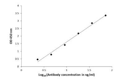 ELISA: beta-Alanine Antibody [NBP3-13408] - ELISA plate is coated with 100 uL of beta-Alanine-carrier protein conjugate at 10 ug/mL. The coated ligand is detected with beta-Alanine antibody (NBP3-13408) at concentrations ranging from 580 ng/mL down to 2.1 ng/mL. Rabbit IgG antibody (HRP) (NBP2-19301) is diluted at 1:2,000 and used to detect the primary antibody.