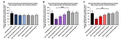 In vitro assay: beta Amyloid 42 Peptide [NBP3-18318] - Amyloid beta 1-42 oligomers and fibrils  show a dose-dependent toxicity to primary rat cortical neurons, but not monomers (NBP3-18318). Survival of rat primary cortical neurons 14 days after treatment with different concentrations of (A) monomers, (B) oligomers or (C) fibrils quantified by MAP2 positive neurons and expressed as a percentage of control. Fibrils and respective vehicle controls were initially sonicated in a Bioruptor. Test conditions were run in the same plate as untreated control and vehicle controls, which consisted of buffer without amyloid beta 1-42 protein. Data expressed as mean +/- s.e.m. (n=6). A global analysis of the data was performed using a one-way ANOVA followed by Dunnetts test; ** p<0.01 stats vs control; ## p<0.01, #### p<0.0001 stats vs vehicle control.