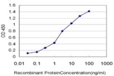 Sandwich ELISA: beta B1 Crystallin Antibody (2B2) [H00001414-M01] - Detection limit for recombinant GST tagged CRYBB1 is approximately 0.03ng/ml as a capture antibody.