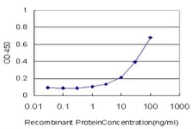 ELISA: beta B1 Crystallin Antibody (3D9) [H00001414-M03] - Detection limit for recombinant GST tagged CRYBB1 is approximately 3ng/ml as a capture antibody.