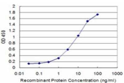 ELISA: beta COP Antibody (3E10) [H00001315-M08] - Detection limit for recombinant GST tagged COPB is approximately 0.3ng/ml as a capture antibody.