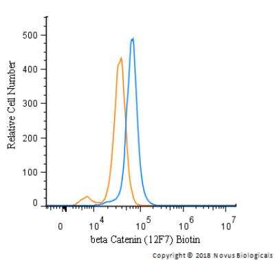 Flow Cytometry: beta-Catenin Antibody (12F7) [Biotin] [NBP1-54467B] - An intracellular stain was performed on SK-MEL-28 cells with beta-Catenin Antibody [12F7] NBP1-54467B (blue) and a matched isotype control (orange). Both antibodies were conjugated to Biotin. Cells were fixed with 4% PFA and then permeabilized with 0.1% saponin. Cells were incubated in an antibody dilution of 2.5 ug/mL for 30 minutes at room temperature, followed by Streptavidin - R-Phycoerythrin Protein (2012-1000, Novus Biologicals).