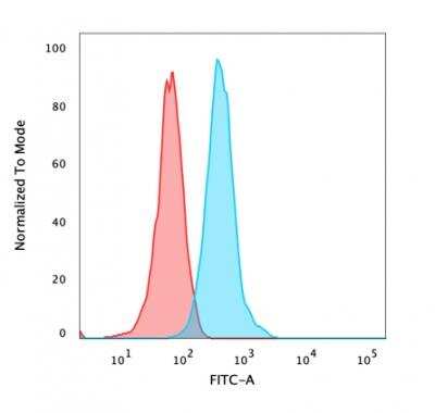 Flow Cytometry: beta-Catenin Antibody (CTNNB1/2030R) - Azide and BSA Free [NBP2-79888] - Flow Cytometric Analysis of PFA fixed HeLa cells using Beta-Catenin Recombinant Rabbit Monoclonal Ab (CTNNB1/2030R) followed by Goat anti-Rabbit IgG-CF488 (Blue); Isotype Control (Red).