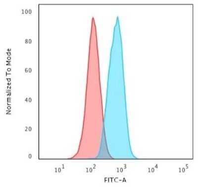 Flow Cytometry: beta-Catenin Antibody (CTNNB1/2030R) [NBP2-79753] - Flow Cytometric Analysis of HeLa cells using beta-Catenin Antibody (CTNNB1/2030R)followed by Goat anti-Rabbit IgG-CF488 (Blue); Isotype Control (Red).