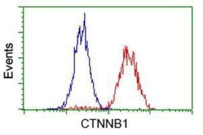 Flow Cytometry: beta-Catenin Antibody (OTI12H7) - Azide and BSA Free [NBP2-70509] - Analysis of Hela cells, using anti-beta Catenin antibody, (Red), compared to a nonspecific negative control antibody (Blue).