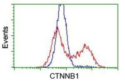 Flow Cytometry: beta-Catenin Antibody (OTI12H7) - Azide and BSA Free [NBP2-70509] - HEK293T cells transfected with either overexpression plasmid (Red) or empty vector control plasmid (Blue) were immunostaining by anti-beta Catenin antibody, and then analyzed by flow cytometry.