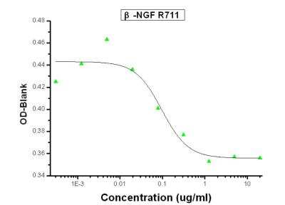 Neutralization: beta-NGF Antibody (R711) [NBP2-89764] - Recombinant Human beta-­NGF  stimulates proliferation in the TF­1 human erythroleukemic cell line. Proliferation elicited by Recombinant Human beta-­NGF (10 ng/mL) is neutralized by increasing concentrations of Rabbit Anti­Human beta-­NGF Monoclonal Antibody. The IC50 is typically 0.048­0.19 ug/mL.