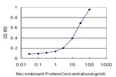 Sandwich ELISA: beta Sarcoglycan Antibody (1E3) [H00006443-M01] - Detection limit for recombinant GST tagged SGCB is approximately 0.3ng/ml as a capture antibody.