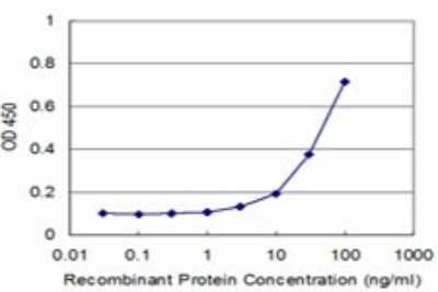 Sandwich ELISA: beta-Synuclein Antibody (3G6) [H00006620-M02] - Detection limit for recombinant GST tagged SNCB is approximately 3ng/ml as a capture antibody.