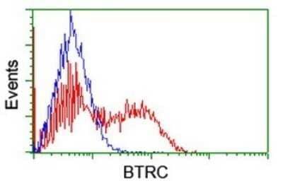 Flow Cytometry: beta-TrCP1/BTRC Antibody (OTI2H2) - Azide and BSA Free [NBP2-71402] - Analysis of HEK293T cells transfected with either overexpress plasmid(Red) or empty vector control plasmid(Blue) were immunostaining by BTRC antibody.