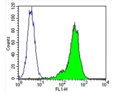 Flow Cytometry: beta Tubulin Antibody (BT7R) [NBP2-37830] - Analysis of Beta Tubulin in CEM cells (green) compared to an isotype control (blue).