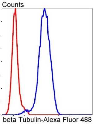 Flow Cytometry: beta Tubulin Antibody (SR25-04) [NBP2-67341] - Analysis of NIH/3T3 cells with beta Tubulin antibody at 1/50 dilution (blue) compared with an unlabelled control (cells without incubation with primary antibody; red). Alexa Fluor 488-conjugated goat anti rabbit IgG was used as the secondary antibody.