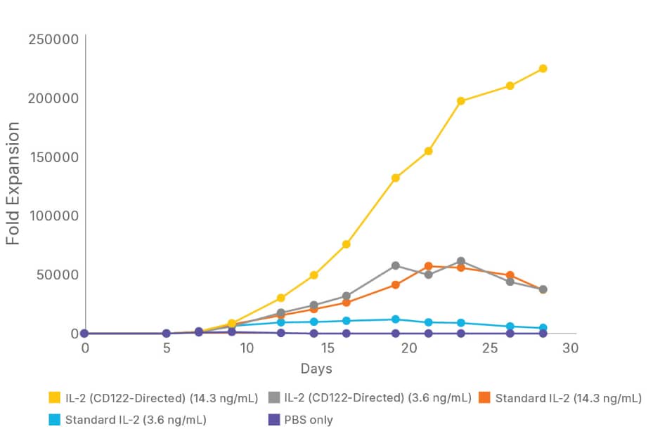 CD4+ and CD8+ T cells from two different donors were activated with anti-CD3-, anti-CD28-conjugated beads, and grown for 28 days in media containing either 3.6 or 14.3 ng/mL of Animal-free Recombinant Human IL-2 Protein (BT-002-AFL) as the standard IL-2 protein or engineered Recombinant Human IL-2 (CD122-Directed) Protein (BT-002DBR), refreshed every 2-3 days. The average fold expansion of the cells was determined every 2-3 days. The IL-2 (CD122-Directed) Protein supports greater than 6x more CD4+/CD8+ T cell growth than the standard IL-2 protein.