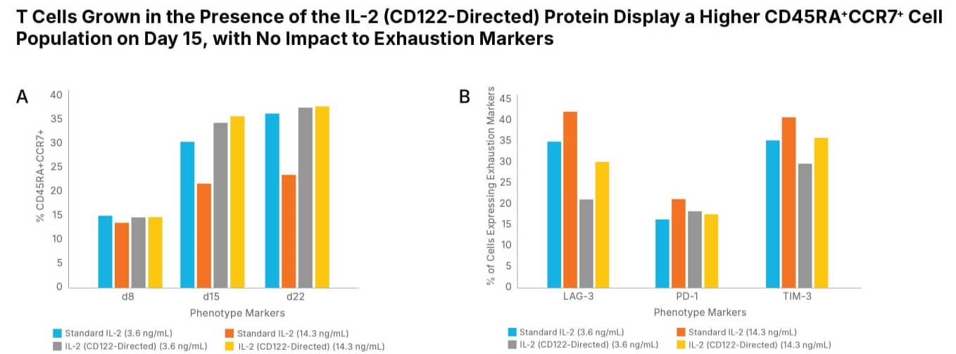 CD4+ and CD8+ T cells from three different donors were activated with anti-CD3-, anti-CD28-conjugated beads, and grown in media containing 50 or 200 IU of Animal-free Recombinant Human IL-2 Protein (BT-002-AFL) as the standard IL-2 protein or Recombinant Human IL-2 (CD122-Directed) Protein (BT-002DBR), refreshed every 2-3 days. A) After 28 days, the phenotypes of the cells were compared by flow cytometry using a Brilliant Violet 711™ anti-human CD197 (CCR7) antibody and PE/Dazzle™ 594 anti-human CD45RA antibody to determine the number of CD4+ and CD8+ naive (CD45RA+/CCR7+) Tscm cells. The percentage of Tscm cells was found to be higher when the cells were expanded with the IL-2 (CD122-Directed) Protein at 14.3 ng/mL. B) The number of cells expressing the T cell exhaustion markers, PD-1, LAG-3, and TIM-3 was determined by flow cytometry. The results showed that the percentages of CD4+/CD8+ T cells that were also PD-1, LAG-3, or TIM-3 positive were equivalent or reduced with the IL-2 (CD122-Directed) Protein. These results demonstrate that the IL-2 (CD122-Directed) Protein promotes increased T cell expansion with enhanced expression of naive phenotype markers and equivalent or reduced expression of cell exhaustion markers. 
