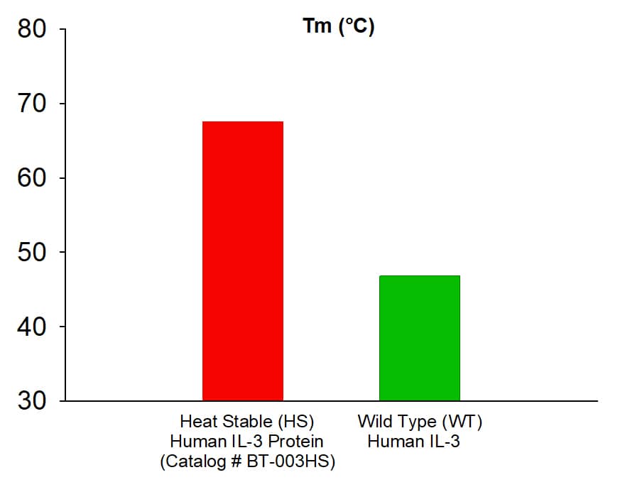 Recombinant Human IL-3 Heat Stable Protein (Catalog # BT-003HS) exhibits a higher melting temperature (Tm) than wild-type human IL-3.  Thermal stability was assessed by Differential Scanning Fluorimetry (DSF).
