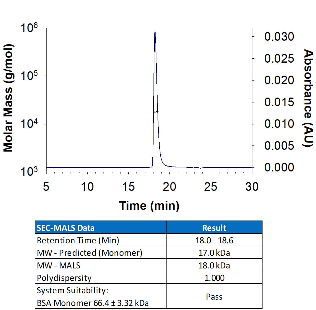 Animal-Free™ Recombinant Human IL‑7 (Catalog # BT-007-AFL/LQ) has a molecular weight (MW) of 18.0 kDa as analyzed by SEC-MALS, suggesting that this protein is a monomer. 