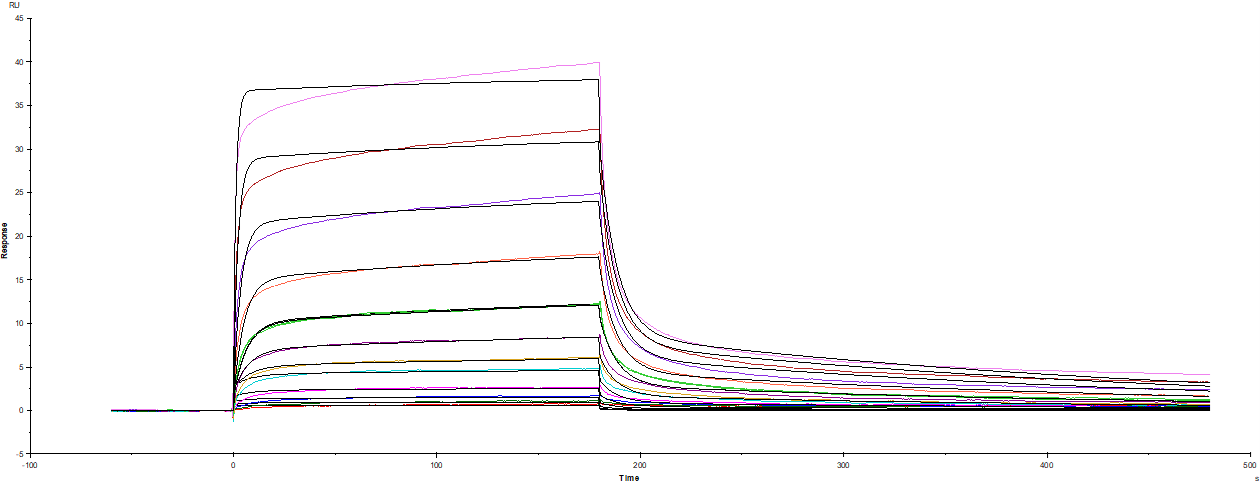 Surface Plasmon Resonance (SPR) IL-7 [Unconjugated]