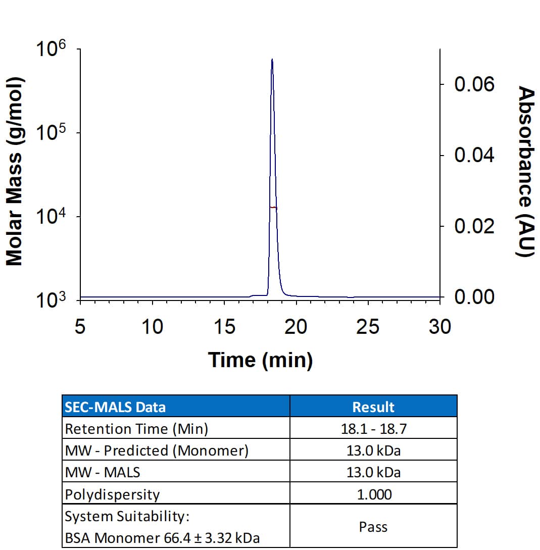 Animal-Free™ Recombinant Human IL‑15 (Catalog # BT-015-AFL/LQ) has a molecular weight (MW) of 13.0 kDa as analyzed by SEC-MALS, suggesting that this protein is a monomer.