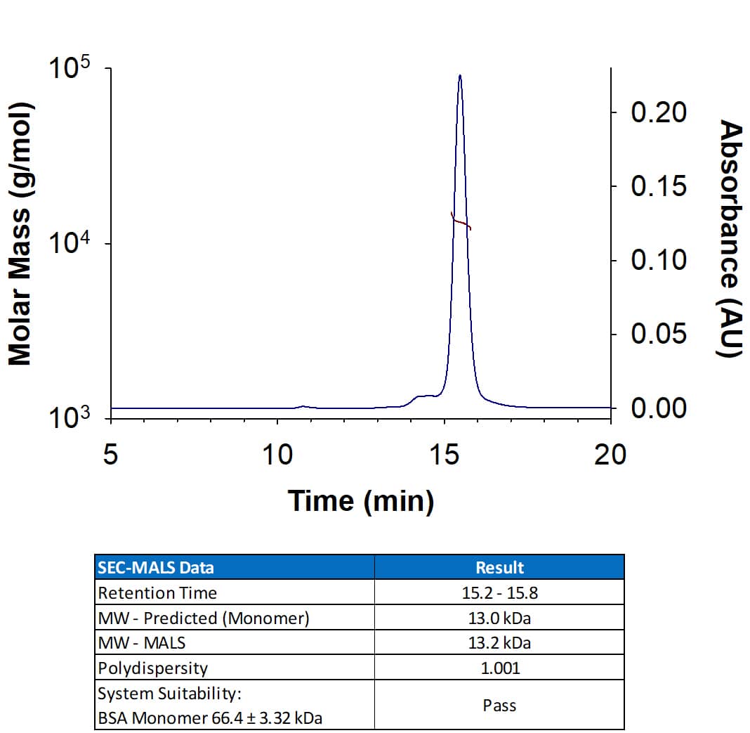 Recombinant Human IL-15 (Catalog # BT-015) has a molecular weight (MW) of 13.2 kDa as analyzed by SEC-MALS, suggesting that this protein is a monomer. 