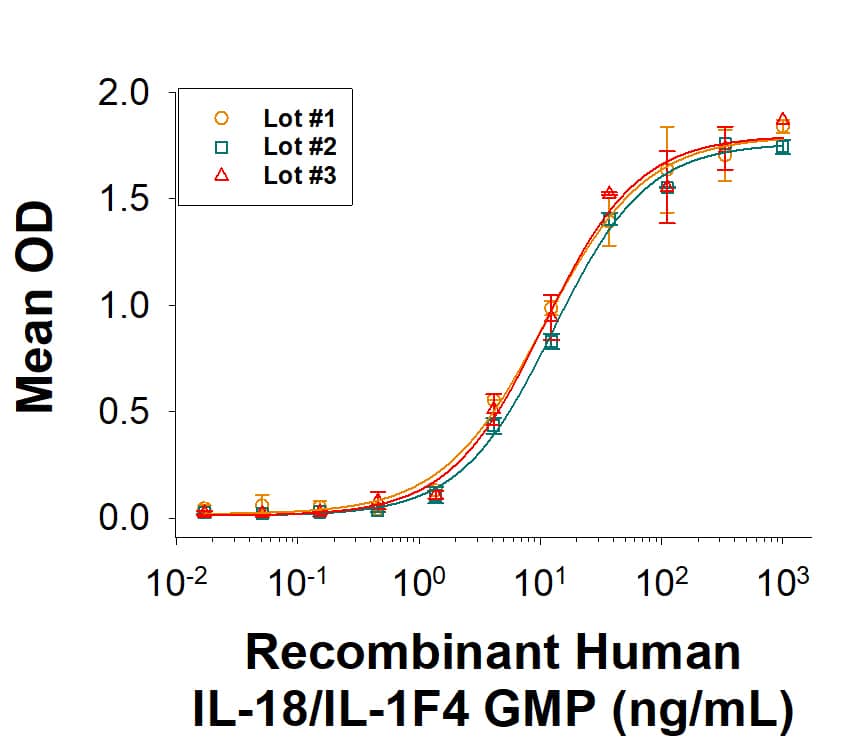 The bioactivity of Recombinant Human IL-18/IL-1F4 GMP Protein (Catalog # BT-018-GMP) was measured by its ability to induce IFN-gamma  secretion by KG-1 human acute myelogenous leukemia cells in the presence of TNF-alpha . Three independent lots were tested for bioactivity and plotted on the same graph to show lot-to-lot consistency of GMP IL-18/IL-1F4 protein.