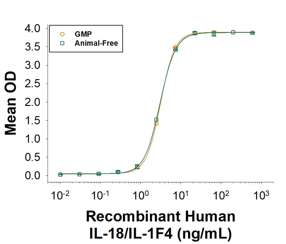 Equivalent bioactivity of GMP (Catalog # BT-018-GMP) and Animal-Free (BT-018-AFL) grades of Recombinant Human IL-18/IL-1F4 as measured by its ability to induce IFN-gamma  secretion by KG-1 human acute myelogenous leukemia cells in the presence of TNF-alpha  (orange and green, respectively).