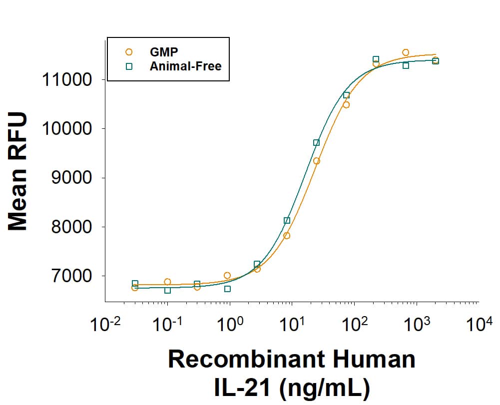 Equivalent bioactivity of GMP (Catalog # BT-021-GMP) and Animal-Free (BT-021-AFL) grades of Recombinant Human IL-21 as measured in a cell proliferation assay using B9 mouse hybridoma cells (orange and green, respectively).