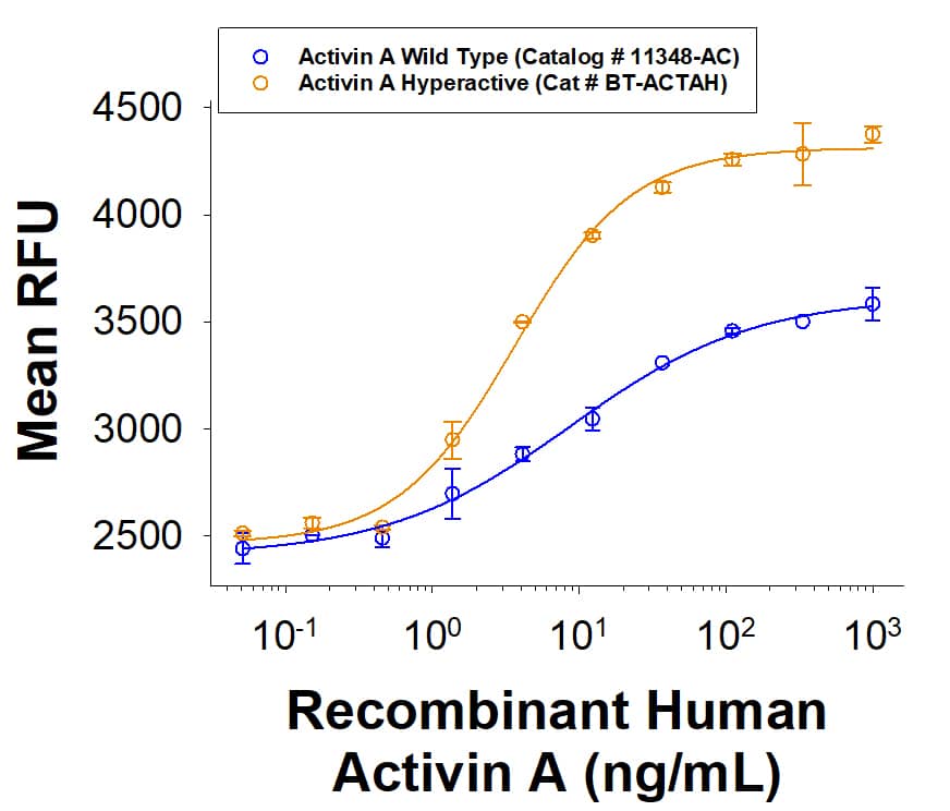 Human Activin A Hyperactive Protein (Catalog # BT-ACTAH) induces SBE (SMAD-binding element) reporter activity in HEK293 human embryonic kidney cells. The hyperactive Activin A protein has greater bioactivity than Wild Type Activin A.