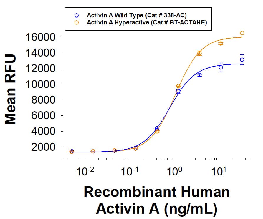 Human Activin A Hyperactive Protein (Catalog # BT-ACTAHE) induces SBE (SMAD-binding element) reporter activity in HEK293 human embryonic kidney cells. The hyperactive Activin A protein has greater bioactivity than Wild Type Activin A (338-AC).