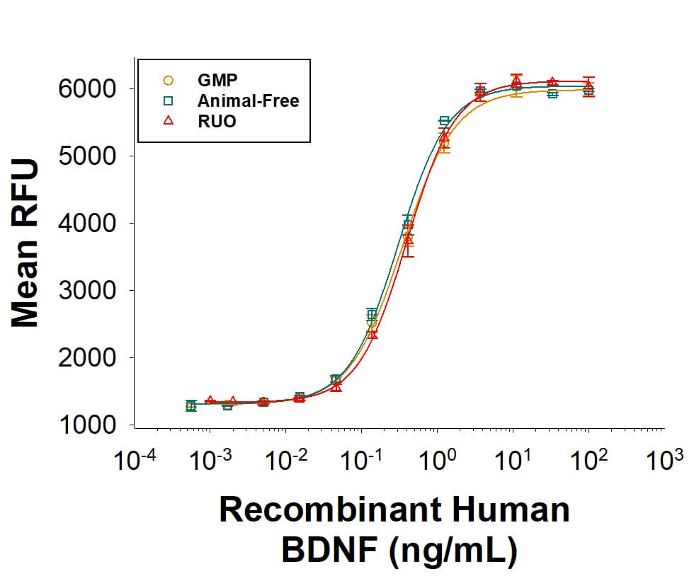 Equivalent bioactivity of GMP (BT-BDNF-GMP), Animal-Free (Catalog # BT-BDNF-AFL) and RUO (BT-BDNF) grades of Recombinant Human BDNF as measured in a cell proliferation assay using BaF mouse pro-B cells transfected with TrkB (orange, green, red, respectively).