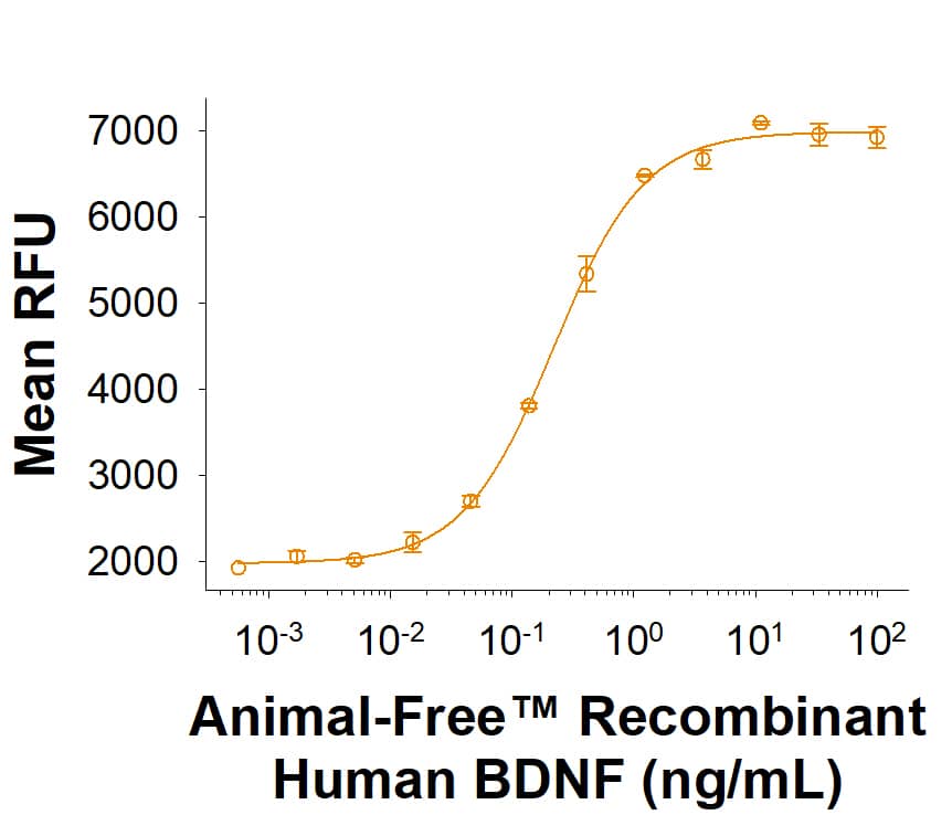 Animal-Free™ Recombinant Human BDNF Protein (Catalog # BT-BDNF-AFL) stimulates cell proliferation of the BaF mouse pro-B cells transfected with TrkB. The ED50 for this effect is 0.100-1.00 ng/mL.