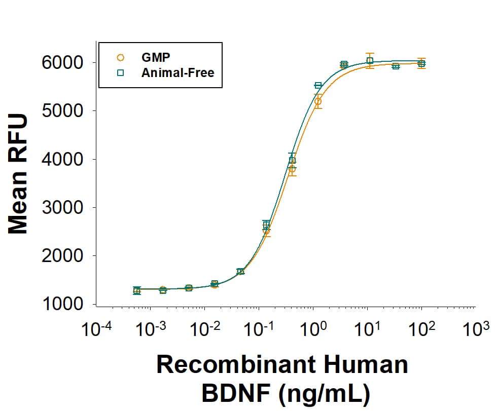 Equivalent bioactivity of GMP (Catalog # BT-BDNFGMP) and Animal-Free (BT-BDNF-AFL) grades of Recombinant Human BDNF asmeasured in a cell proliferation assay using BaF mouse pro-B cells transfected with TrkB (orange and green, respectively).