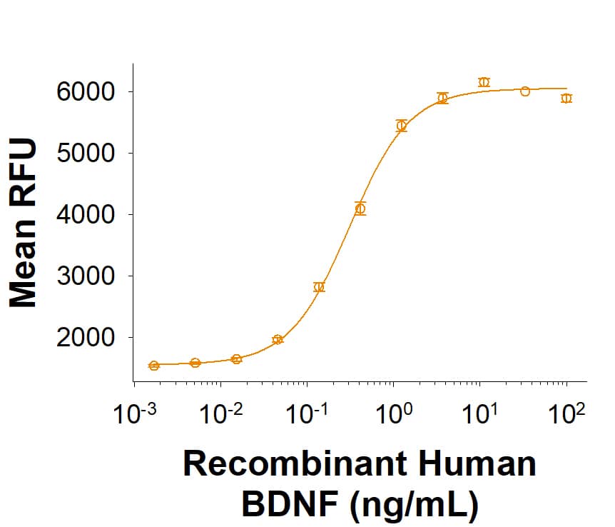 Recombinant Human BDNF Protein (Catalog # BT-BDNF) stimulates cell proliferation of the BaF mouse pro-B cells transfected with TrkB. The ED50 for this effect is 0.100-1.00 ng/mL.