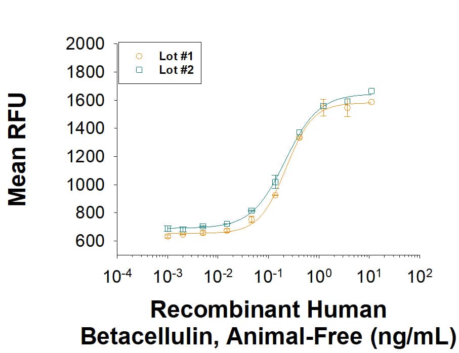Animal-FreeTM Recombinant Human Betacellulin (Catalog # BT-BTC-AFL) as measured in a cell proliferation assay using Balb/3T3 mouse embryonic fibroblast cells. The ED50 for this effect is 0.100-1.50 ng/mL. Two independent lots were tested for activity and plotted on the same graph to show lot-to-lot consistency of Animal-Free Betacellulin.