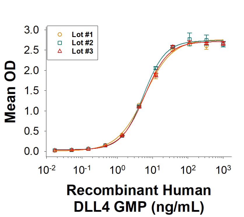 The binding activity of Recombinant Human DLL4 GMP Protein (Catalog # BT-DLL4-GMP) was measured in a functional ELISA with Recombinant Human Notch-1 Protein. Three independent lots were tested for binding activity and plotted on the same graph to show lot-to-lot consistency of GMP DLL4 protein.