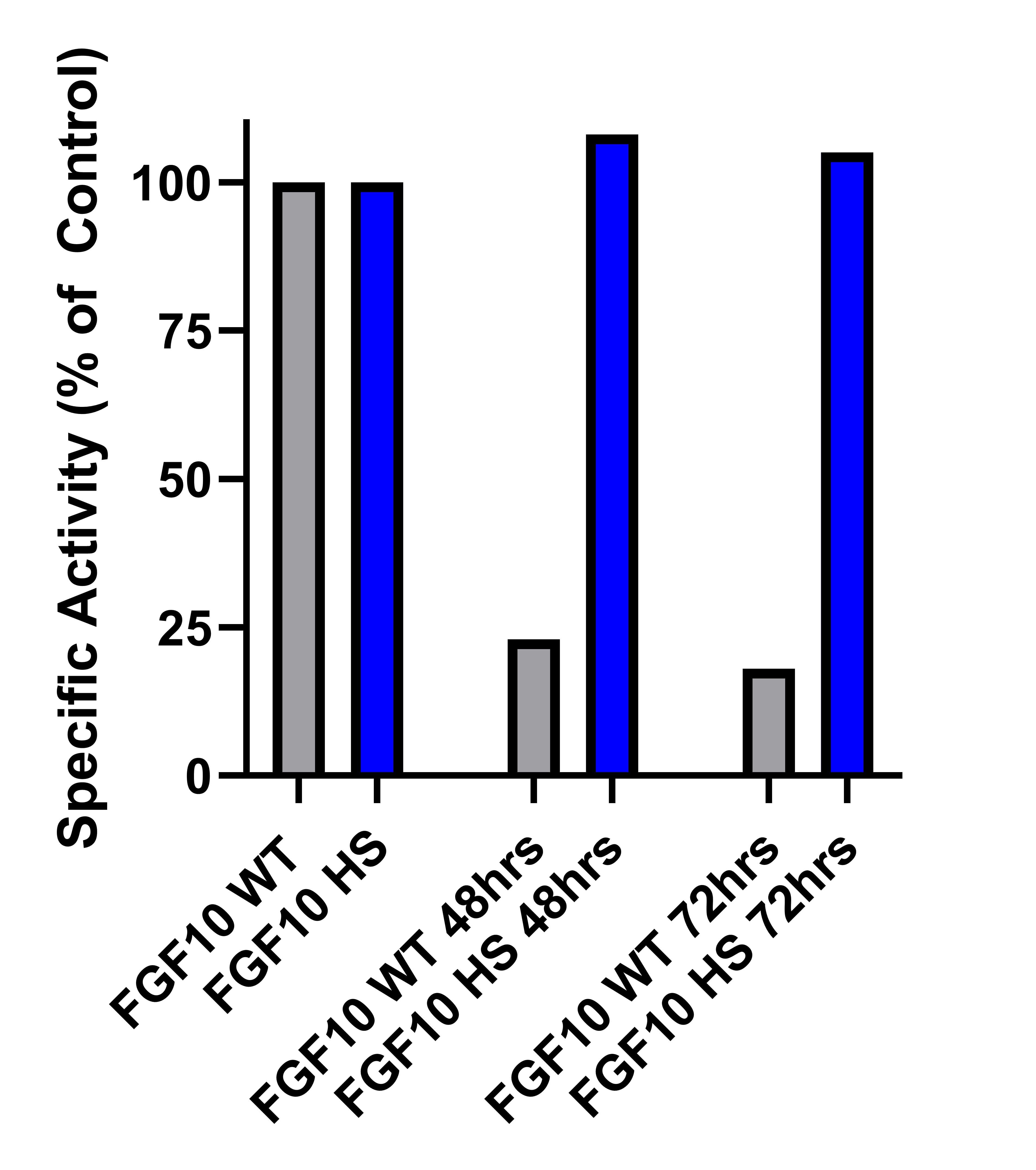 To evaluate the signal transduction response triggered by FGF-10, a HEK293 cell line that expresses a reporter for SEAP controlled by the Serum Response Element was utilized. Wild type FGF-10 (345-FG) and Heat Stable FGF-10HS (BT-FGF10HS) were incubated in DMEM media at 37°C for 48 or 72 hrs at concentrations of 600 ng/mL. Specific activity was assessed through a SEAP bioassay in HEK293 cells, wherein cells were treated with FGF-10 WT or FGF-10HS for 24 hours. The specific activity % of control was determined, with the control comprising FGF-10 stored at 4°C without any incubation. 