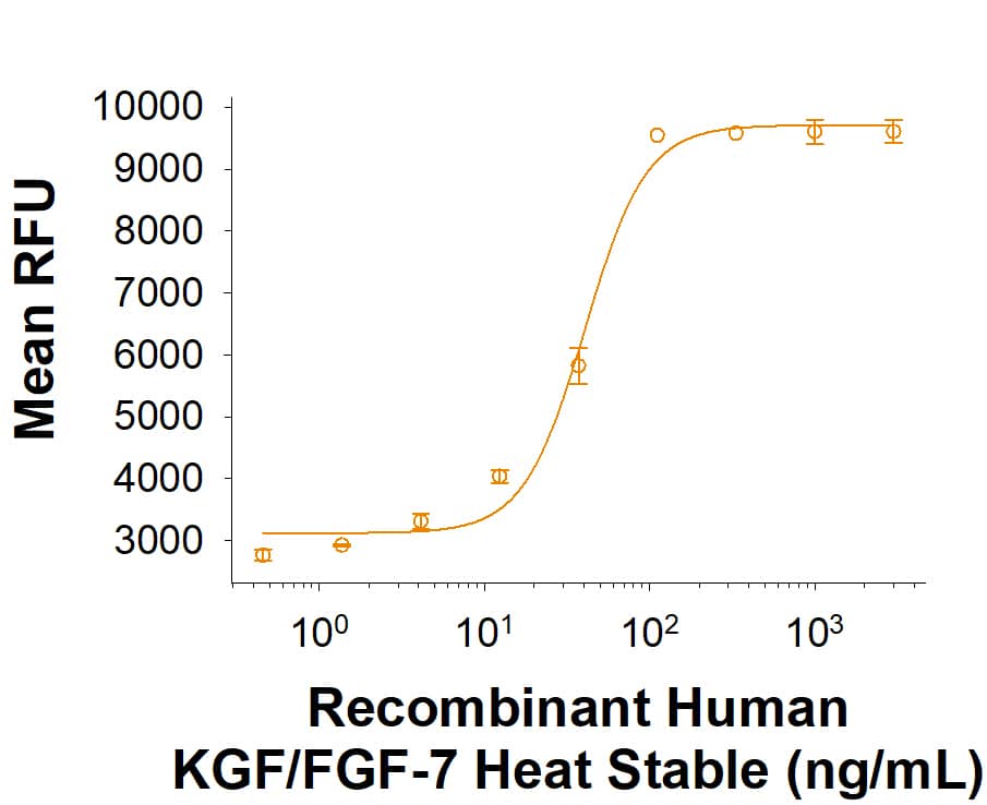 Recombinant Human KGF/FGF‑7 Heat Stable Protein (Catalog # BT-FGF7HS) induced cell proliferation in Ba/F3 mouse pro-B cells transfected with human FGF RIIb. 