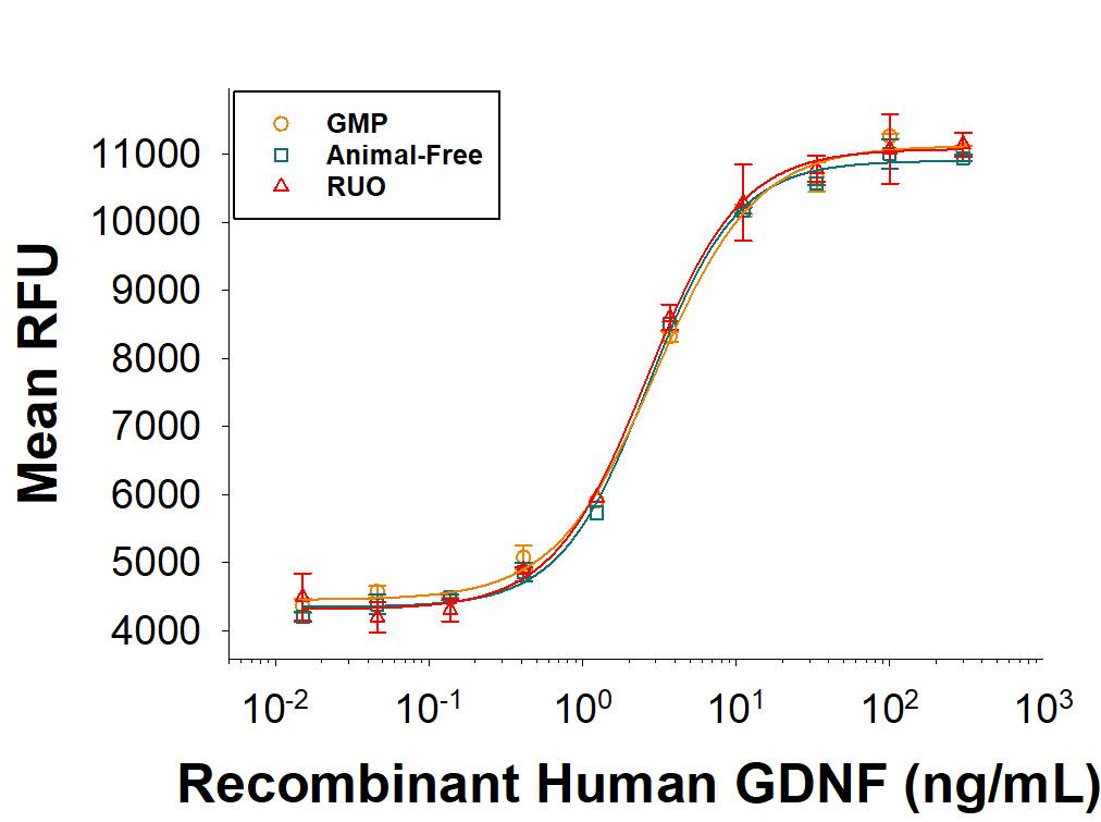 Equivalent bioactivity of GMP (BT-GDNF-GMP), Animal-Free (Catalog # BT-GDNF-AFL) and RUO (BT-GDNF) grades of Recombinant Human GDNF as measured in a cell proliferationassay using the cell proliferation of SH-SY5Y cells (orange, green, red, respectively).