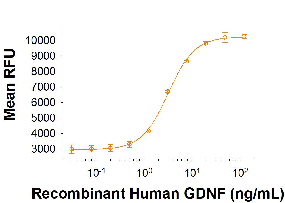 Recombinant Human GDNF Protein (Catalog # BT-GDNF) stimulates proliferation in the SH-SY5Y human neuroblastoma cell line. The ED50 for this effect is 0.750-9.00 ng/mL in the presence of Recombinant Human GFRa-1/GDNF Ra-1 Fc Chimera Protein (714-GR).