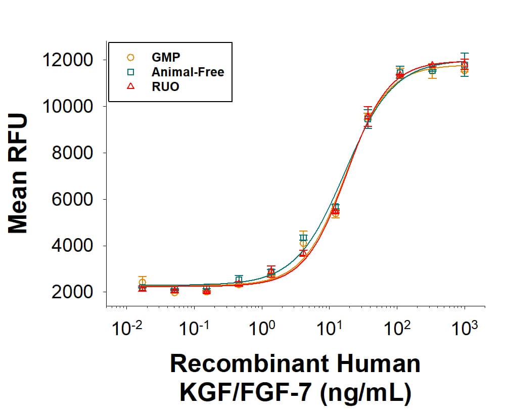 Equivalent bioactivity of GMP (BT-KGF-GMP), Animal-Free (Catalog # BT-KGF-AFL) and RUO  (BT-KGF) grades of Recombinant Human KGF/FGF-7 GMP protein as measured in a cell proliferation assay using Ba/F3 mouse pro B cells transfected with human FGF RIIb (orange, green, red, respectively). 