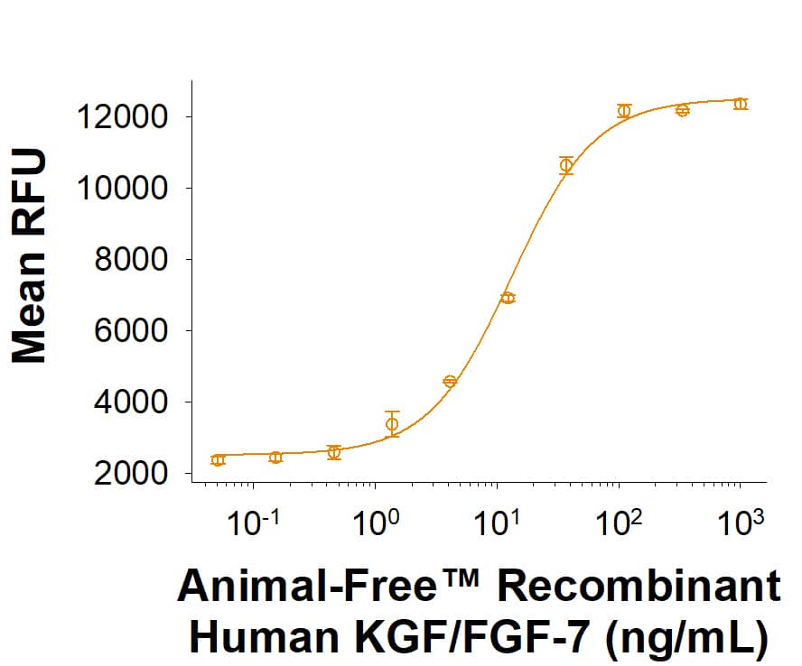 Animal-Free™ Recombinant Human KGF/FGF-7 Protein (Catalog # BT-KGF-AFL) induced cell proliferation in Ba/F3 mouse pro B cells transfected with human FGF RIIb. The ED50 for this effect is 6.00-60.0 ng/mL.