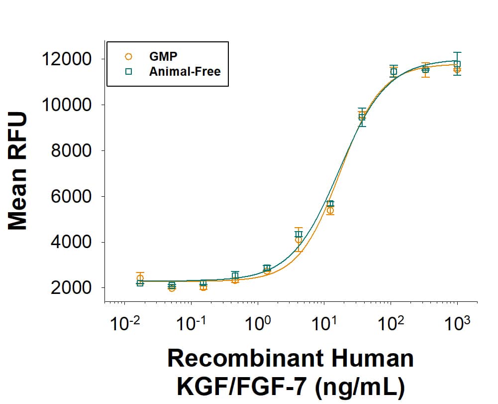 Equivalent bioactivity of GMP(Catalog # BT-KGF-GMP) andAnimal-Free (BT-KGF-AFL) grades of RecombinantHuman KGF/FGF-7 measured in a cell proliferationassay using Ba/F3 mouse pro Bcells transfected with human FGFRIIb (orange and green, respectively).