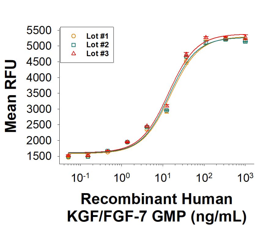 The bioactivity of Recombinant Human KGF/FGF‑7 GMP Protein (Catalog # BT-KGF-GMP) was measured in a cell proliferationassay using Ba/F3 mouse pro B cells transfected with human FGF RIIb. The ED50 for this effect is 6.00 ‑ 60.0 ng/mL. Threeindependent lots were tested for bioactivity and plotted on the same graph to show lot-to-lotconsistency of GMP KGF/FGF‑7 protein.