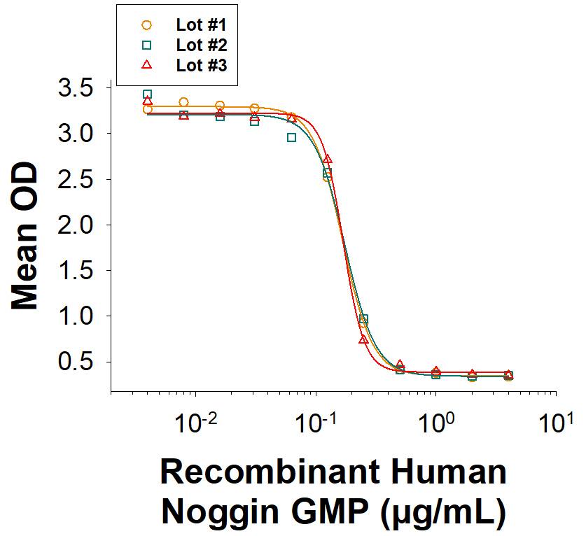 The bioactivity of Recombinant Human Noggin GMP Protein (Catalog # BT-NOG-GMP) was measured by its ability to inhibit BMP-4-induced alkaline phosphatase production by ATDC5 mouse chondrogenic cells. Three independent lots were tested for bioactivity and plotted on the same graph to show lot-to-lotconsistency of GMP Noggin protein.