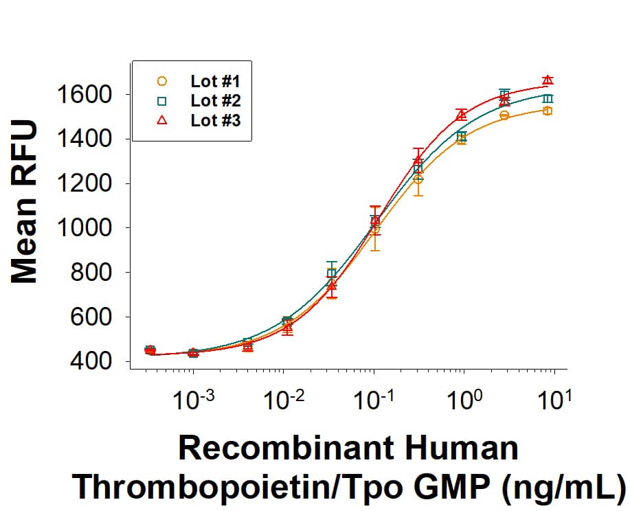 The bioactivity of Recombinant Human Thrombopoietin/TPO GMP Protein (Catalog # BT-TPO-GMP) was  measured in a cell proliferation assay using MO7e human megakaryocytic leukemic cells.  The ED50 for this effect is 0.0500‑0.500 ng/mL. Three independent lots were tested for bioactivity and plotted on the same graph to show lot-to-lot consistency of GMP Thrombopoietin/Tpo protein.