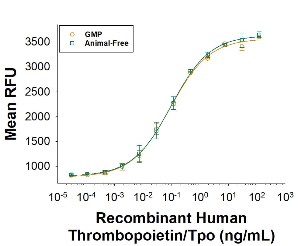 Equivalent bioactivity of GMP (Catalog # BT-TPO-GMP) and Animal-Free (BT-TPO-AFL) grades of Recombinant Human Thrombopoietin/TPO as measured in a cell proliferation assay using MO7e human megakaryocytic leukemic cells (orange and green, respectively).